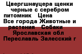 Цвергшнауцера щенки черные с серебром питомник › Цена ­ 30 000 - Все города Животные и растения » Собаки   . Ярославская обл.,Переславль-Залесский г.